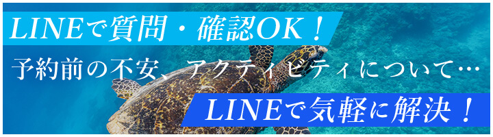 LINEで質問・確認OK！<br> 予約前の不安、アクティビティについて…<br> LINEで気軽に解決！
